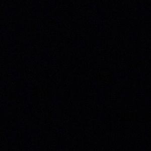 Meet your Posher, Shelby